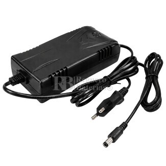 Cargador bater�as carros de golf conector RCA 12V 4A
