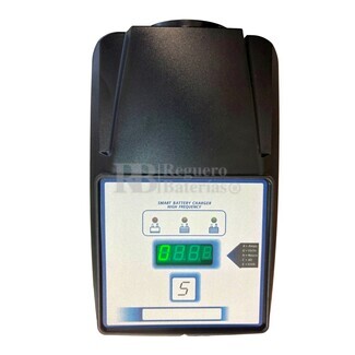 Cargador para 6 bateras Trojan T-105 S.P.E CBHF2 36 Voltios 25 Amperios