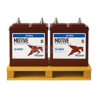 Kit 2 Bateras 24 Voltios 117 Amperios Trojan 27TMX  