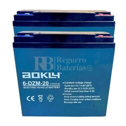 Kit 2 Bateras Patn 24 Voltios 20 Amperios Alta Descarga 6DZM20 