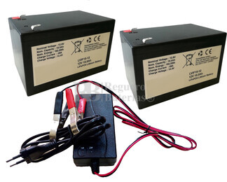 Kit bateras Litio para 24 voltios 15 Amperios Litio y Cargador 24V