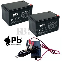 Kit 24 Voltios 12 Amperios y Cargador 24V Scooter Elctricos