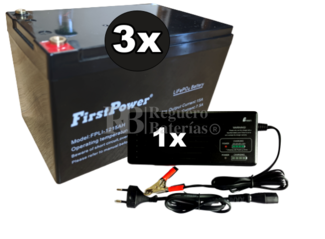 Kit 3 Litio Bateras Scooter elctrico 36 Voltios 15 Amperios y Cargador 36V 1,8Ah