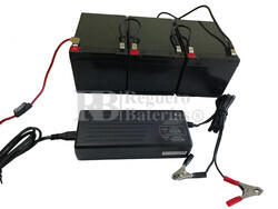 Kit bateras 36 Voltios 12 Amperios con Conexiones y Cargador 36V 