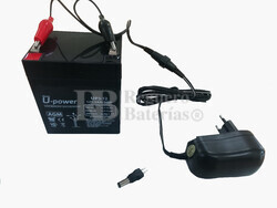 Kit de Batera 12 Voltios 5 Amperios y Cargador 12 Voltios 1 Amperio  
