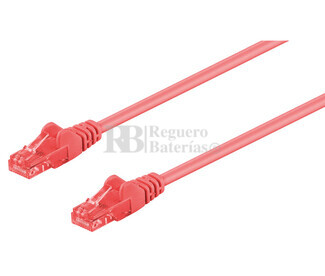 Latiguillo UTP Cat.6 RJ45 macho - macho, 0.25m Rojo