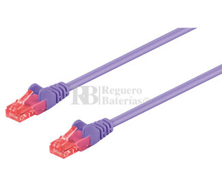 Latiguillo UTP Cat.6 RJ45 macho - macho, 0.25m Violeta