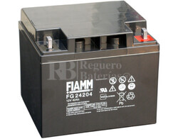 Batera para Silla de Ruedas Elctrica en 12 Voltios 42 Amperios FG24204 