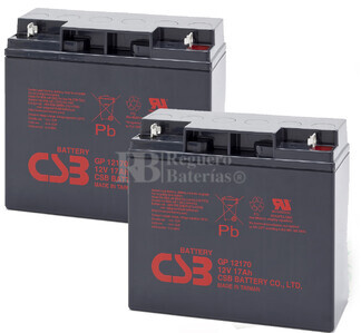 Bateras de sustitucin para SAI APC BACK UPS PRO 1400