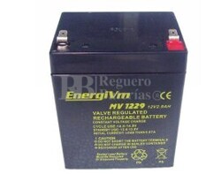 Batería AGM para Grúa Hospitalaria 12 Voltios 2,9 Amperios ENERGIVM MV1229