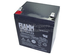 Batería para Alarma de 12 Voltios 5 Amperios FIAMM 12FGH23
