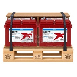 2 Bater�as Trojan 24TMX 12V 94Ah | Ciclo Profundo
