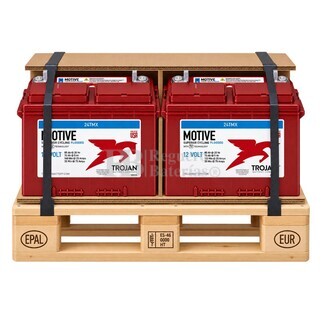 2 Bater�as Trojan 24TMX 12V 94Ah | Ciclo Profundo