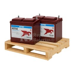 Pack de 2 Bateras TROJAN 24TMX 12 Voltios 94 Amperios 