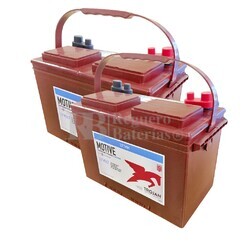 2 Bateras Trojan 27TMH , Energa constante para sistemas solares y renovables