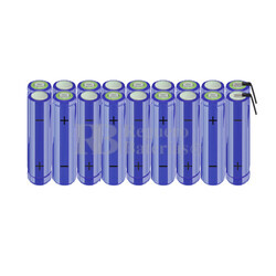 Packs de baterías AA 21,6 Voltios 2.000 mAh NI-MH RB90033717