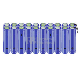 Batera AA 24 Voltios 2.000 mAh NI-MH RB90033711