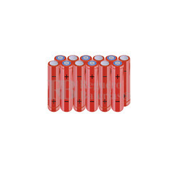 Packs de baterías AAA 14.4 Voltios 800 mAh NI-MH RB90033898