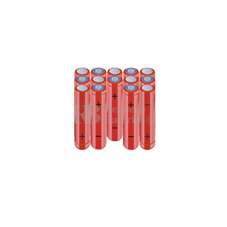 Batera AAA 16.8 Voltios 800 mAh NI-MH RB90033901