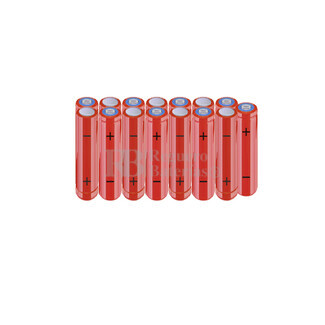 Batera AAA 18 Voltios 800 mAh NI-MH RB90033871