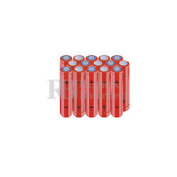 Packs de baterías AAA 18 Voltios 800 mAh NI-MH RB90033875