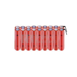 Packs de baterías AAA 21.6 Voltios 800 mAh NI-MH RB90033755