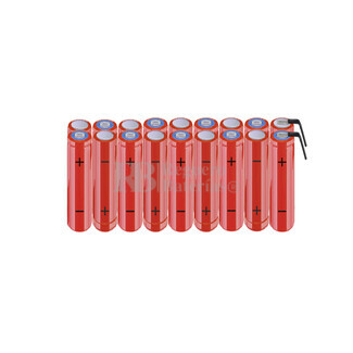 Batera AAA 21.6 Voltios 800 mAh NI-MH RB90033755