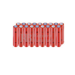 Packs de baterías AAA 21.6 Voltios 800 mAh NI-MH RB90033908
