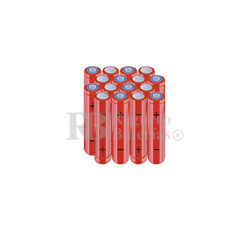 Packs de baterías AAA 24 Voltios 800 mAh NI-MH RB90033879