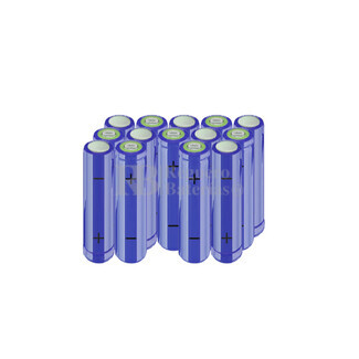 Batera AA 16.8 Voltios 2.000 mAh NI-MH RB90033531
