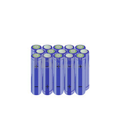Packs de baterías AA 18 Voltios 2.000 mAh NI-MH RB90033474